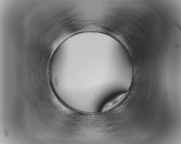 X0000099491387200806051049