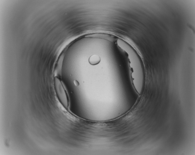 X0000099491388200806051049