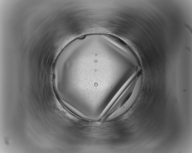 X0000099491390200806051049