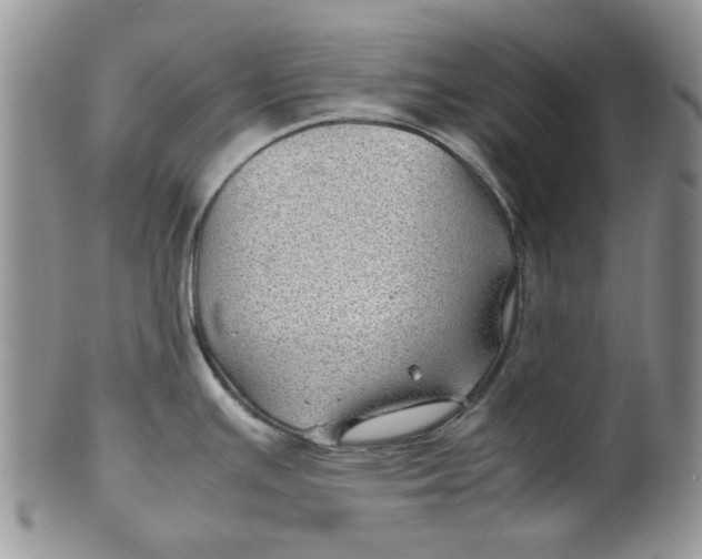 X0000099491391200806051049