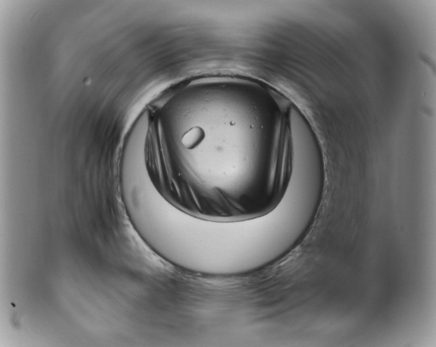 X0000099491392200806051048