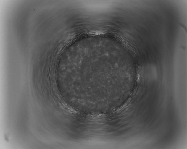 X0000099491393200806051048