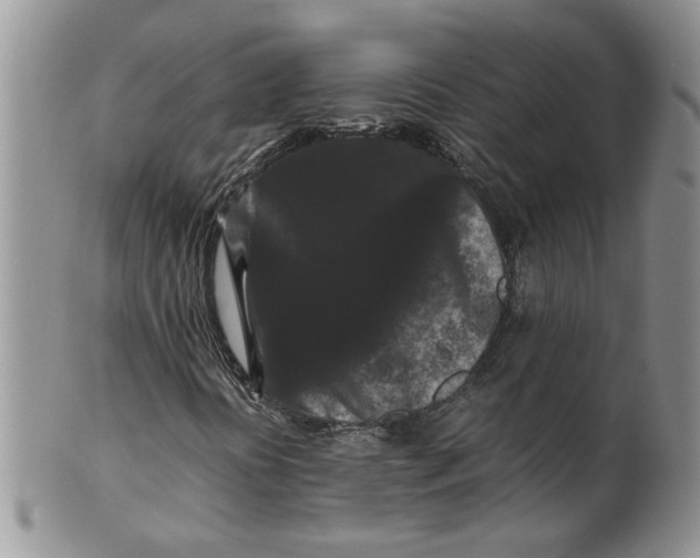 X0000099491394200806051048