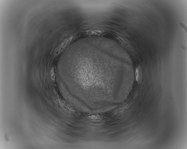 X0000099491395200806051048