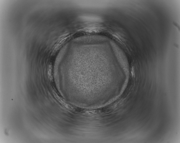 X0000099491396200806051048