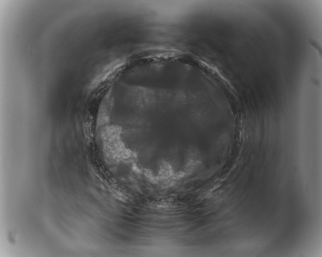 X0000099491399200806051048