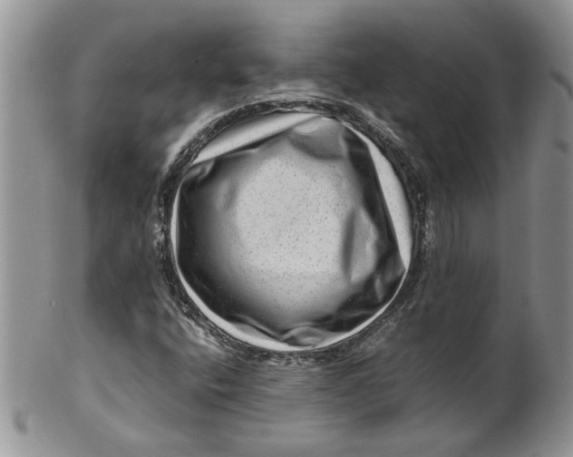 X0000099491400200806051048