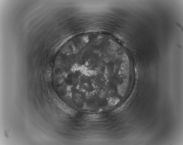 X0000099491401200806051048