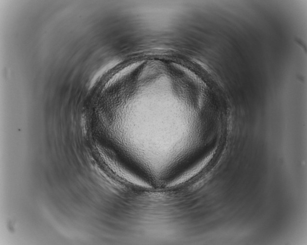 X0000099491402200806051048