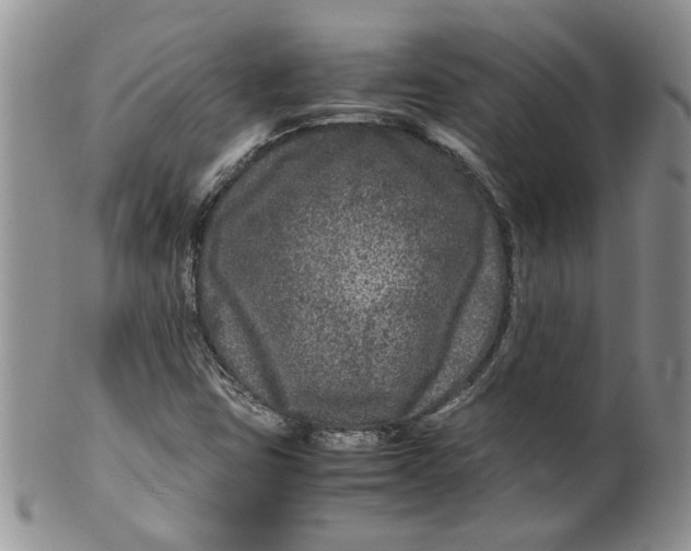 X0000099491403200806051048