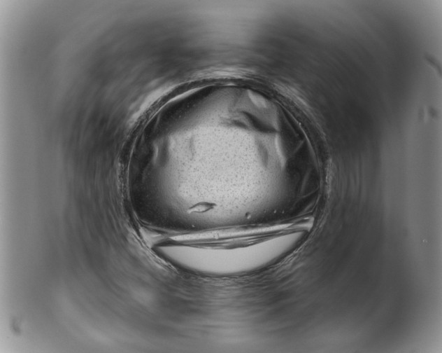 X0000099491404200806051048