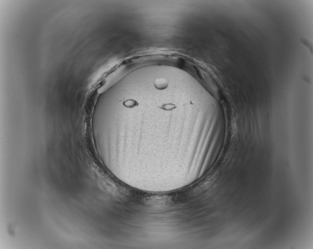 X0000099491406200806051048