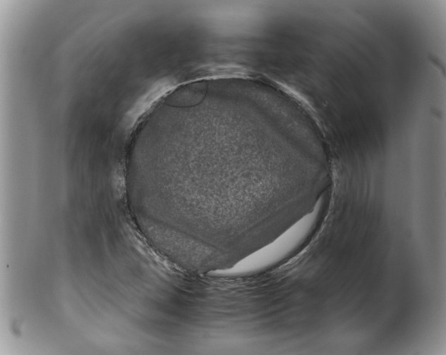 X0000099491407200806051048