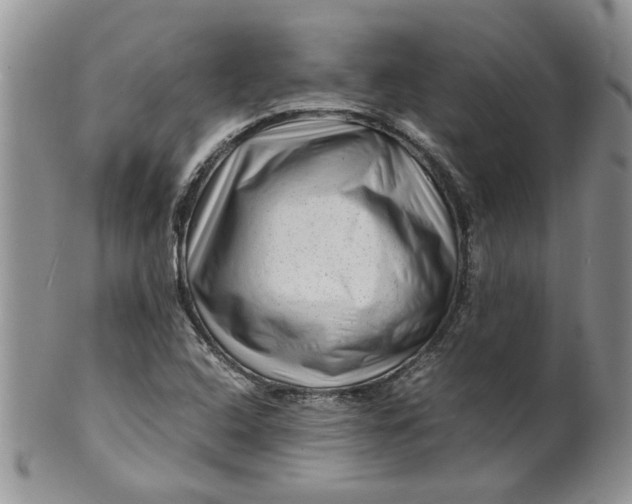 X0000099491408200806051048