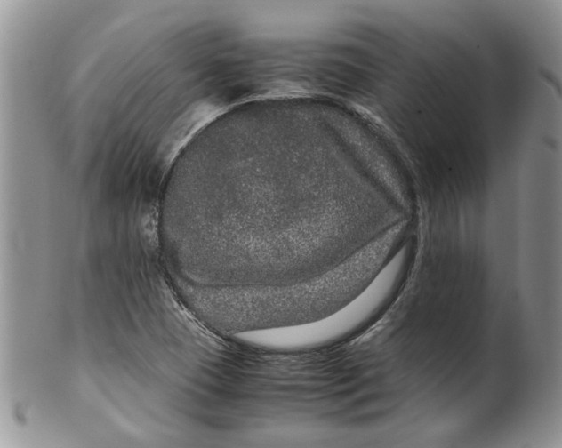 X0000099491409200806051048