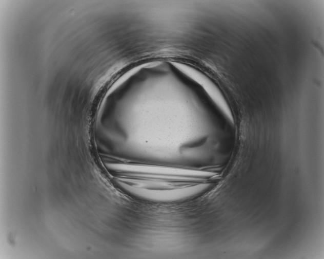 X0000099491410200806051048