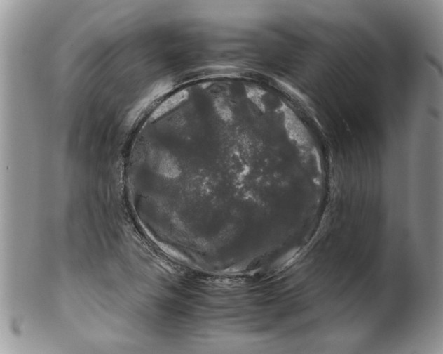 X0000099491411200806051048