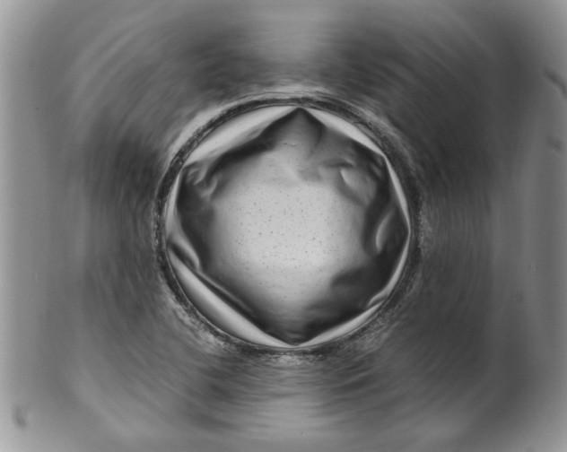 X0000099491412200806051048