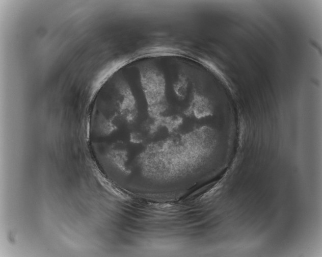 X0000099491413200806051048