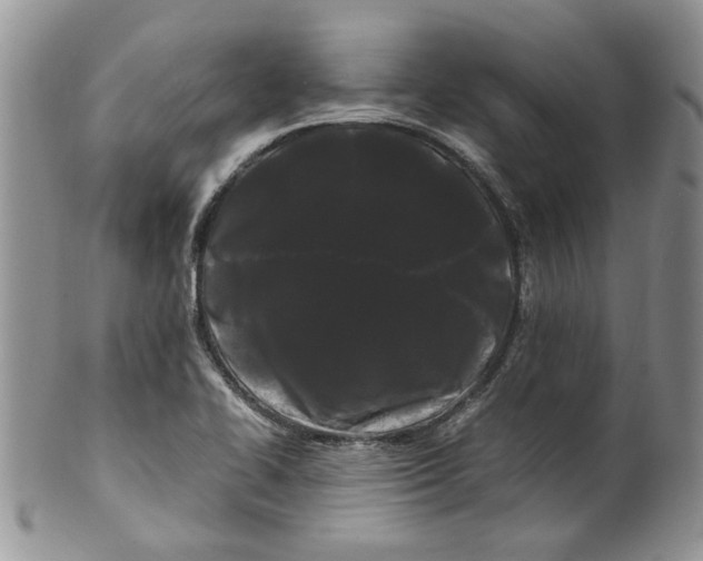 X0000099491414200806051048