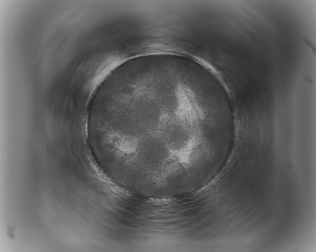 X0000099491415200806051048