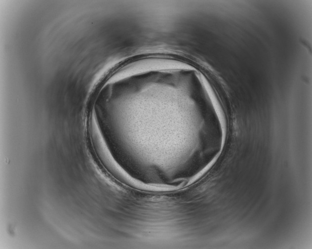 X0000099491416200806051048