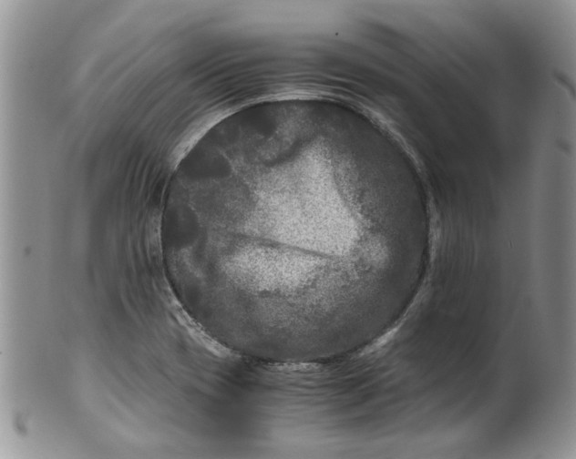 X0000099491417200806051048