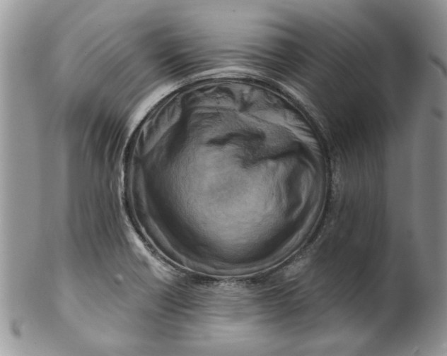 X0000099491418200806051048