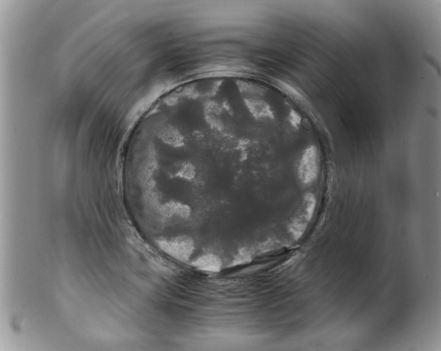 X0000099491419200806051048