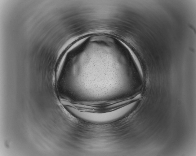 X0000099491420200806051048