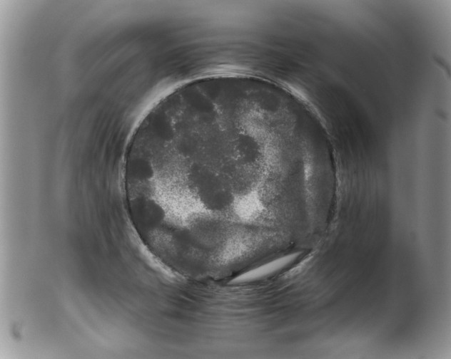 X0000099491421200806051048