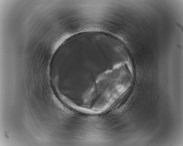 X0000099491422200806051048