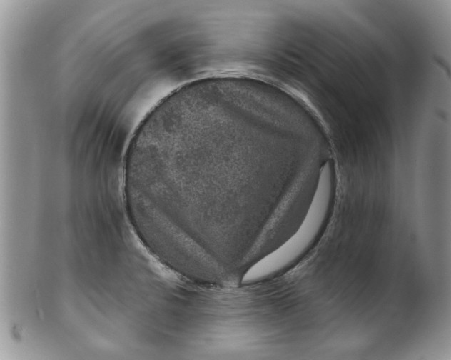 X0000099491424200806051048