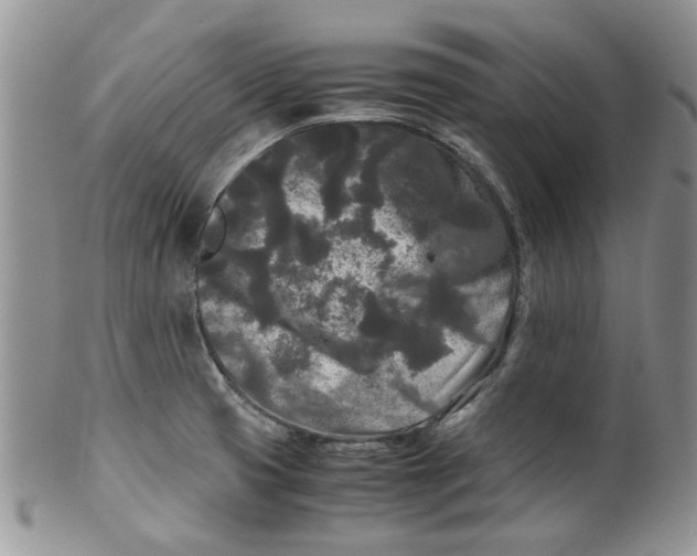 X0000099491425200806051048