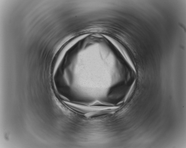 X0000099491426200806051048