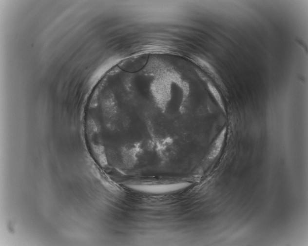 X0000099491427200806051048