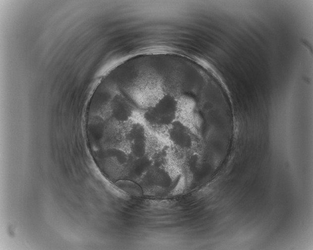 X0000099491429200806051048