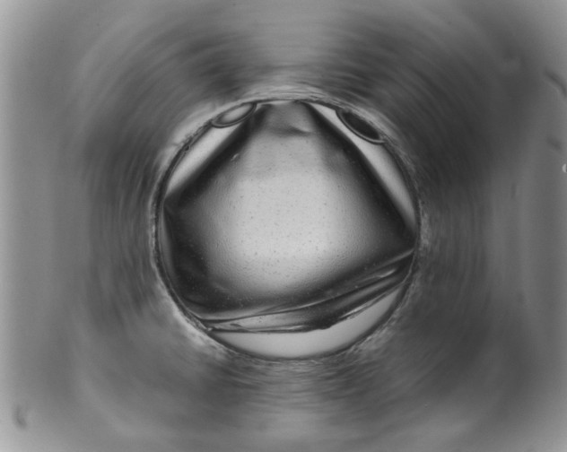 X0000099491430200806051048