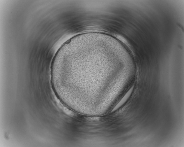 X0000099491431200806051048