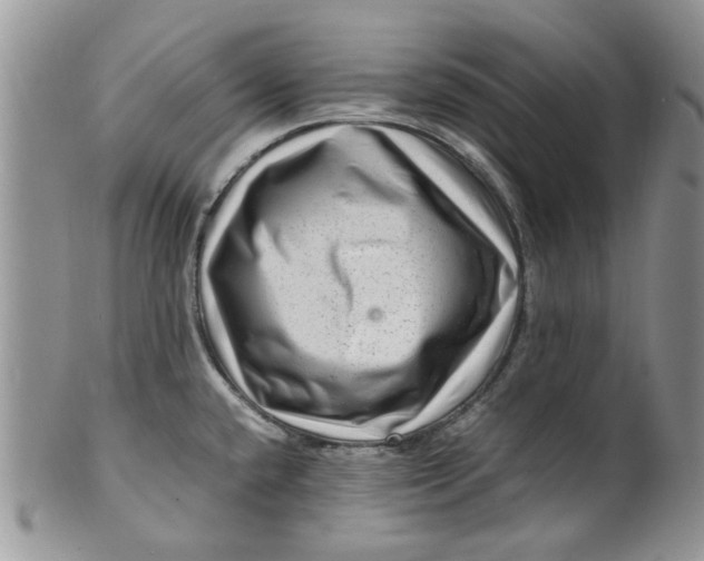 X0000099491432200806051048