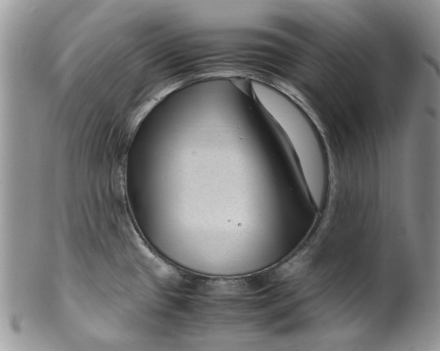 X0000099491433200806051048