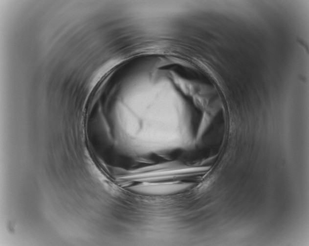 X0000099491434200806051048