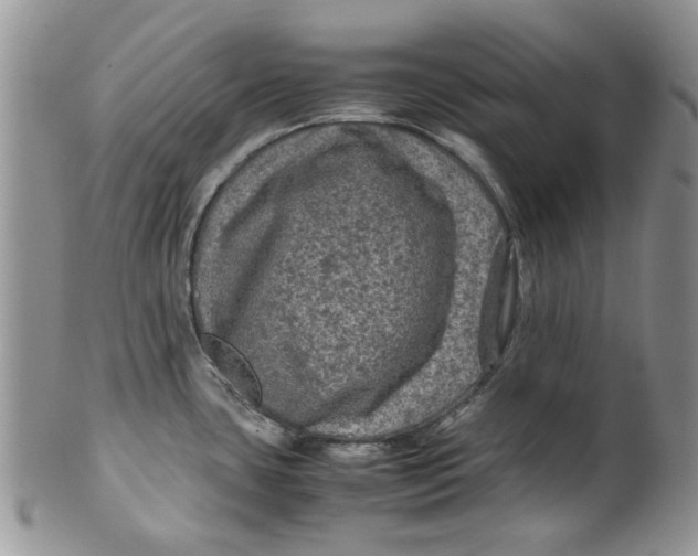 X0000099491435200806051048