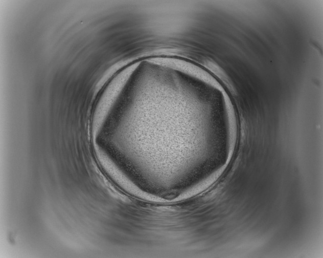 X0000099491436200806051048