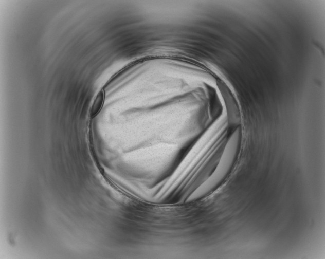 X0000099491437200806051048