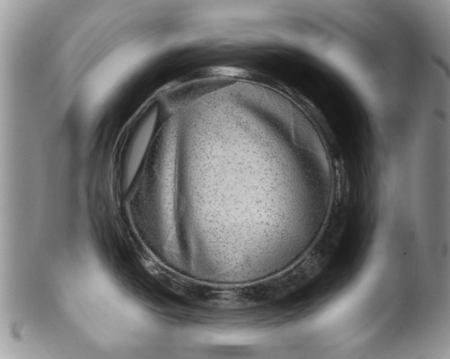 X0000099491438200806051048