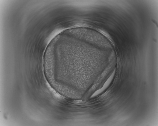 X0000099491439200806051048