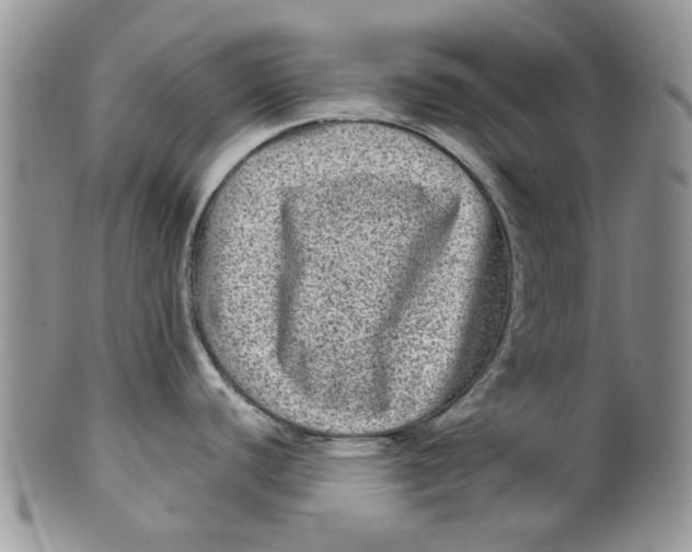 X0000099491440200806051048