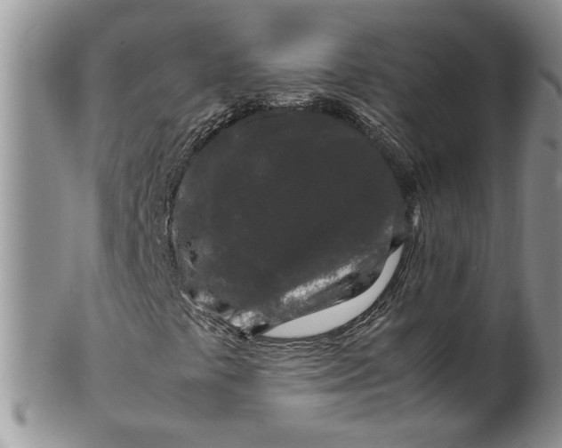 X0000099491441200806051048