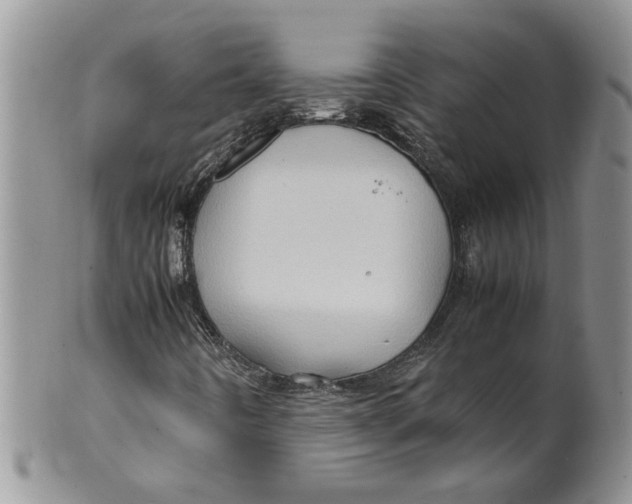 X0000099491442200806051048